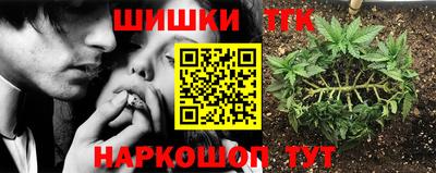 apvp Краснознаменск