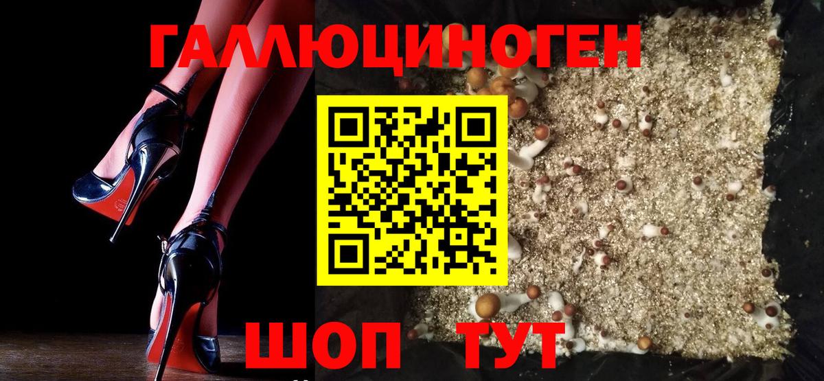 Котельники  Галлюциногенные грибы прущие грибы  купить наркоту  Вход с VPN 